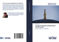 Capa do livro de Turcja w okresie przejściowym do XXI wieku 