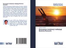 Bookcover of Koncepcja medytacji radżajogi Brahma Kumaris