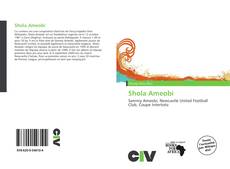 Borítókép a  Shola Ameobi - hoz