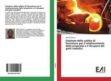 Capa do livro de Gestione della sabbia di formatura per il miglioramento delle proprietà e il recupero dei getti metallici 