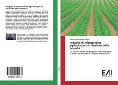 Progetti di microcredito agricolo per la riduzione della povertà的封面