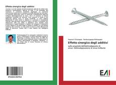 Buchcover von Effetto sinergico degli additivi