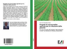 Progetti di microcredito agricolo per la riduzione della povertà的封面