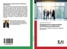 Buchcover von Organigramma organizzativo ed efficienza professionale