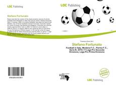 Bookcover of Stefano Fortunato