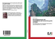 Buchcover von Danneggiamento del rivestimento del tunnel da parte di DGBE