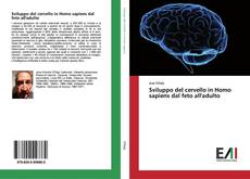 Bookcover of Sviluppo del cervello in Homo sapiens dal feto all'adulto