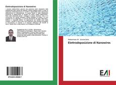 Bookcover of Elettrodeposizione di Nanowires