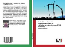 Buchcover von Superfluidificante a stimolazione termica con BFS & Cemento