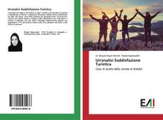 Bookcover of Un'analisi Soddisfazione Turistica