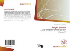 Bookcover of Sergio Sestelo