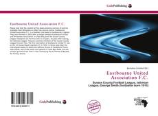 Capa do livro de Eastbourne United Association F.C. 