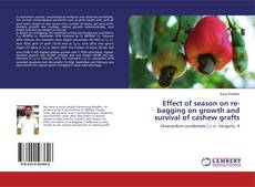 Couverture de Effect of season on re-bagging on growth and survival of cashew grafts