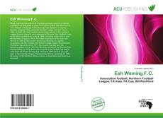 Обложка Esh Winning F.C.
