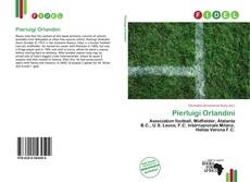 Bookcover of Pierluigi Orlandini
