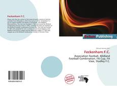 Portada del libro de Feckenham F.C.