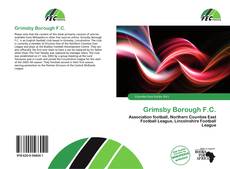 Buchcover von Grimsby Borough F.C.