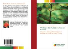 Couverture de Produção de mudas de mogno e cedro