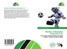Buchcover von Norton & Stockton Ancients F.C.