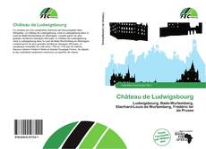 Bookcover of Château de Ludwigsbourg