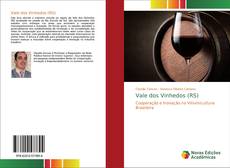 Portada del libro de Vale dos Vinhedos (RS)