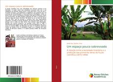 Portada del libro de Um espaço pouco sobrevoado