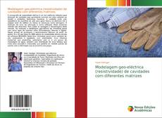 Portada del libro de Modelagem geo-eléctrica (resistividade) de cavidades com diferentes matrizes