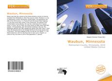 Bookcover of Waubun, Minnesota