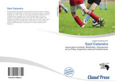 Bookcover of Saúl Calandra