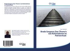 Brede Sargasso Zee: Thema's van Kolonialisme en Patriarchaat kitap kapağı