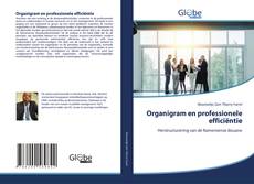 Couverture de Organigram en professionele efficiëntie