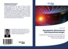 Buchcover von Aangepaste Adomiaanse Decompositiestrategie