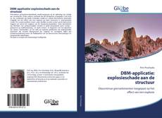 Buchcover von DBM-applicatie: explosieschade aan de structuur