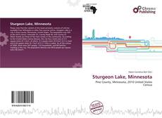Couverture de Sturgeon Lake, Minnesota