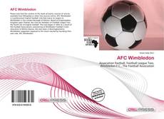 Capa do livro de AFC Wimbledon 