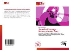 Обложка Superior Extensor Retinaculum of Foot