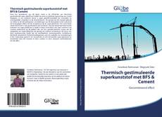 Bookcover of Thermisch gestimuleerde superkunststof met BFS & Cement