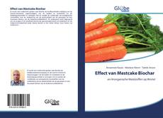 Buchcover von Effect van Mestcake Biochar