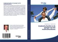 Arabische familie in de spiegel van het multiculturalisme kitap kapağı