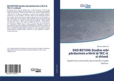 Buchcover von EKO BETONI-Studim mbi përdorimin e Hirit të TEC-it si shtesë