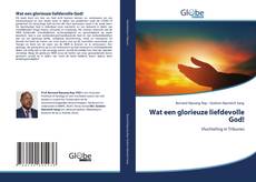 Couverture de Wat een glorieuze liefdevolle God!