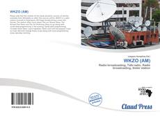 Bookcover of WKZO (AM)