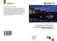 Capa do livro de Newfolden, Minnesota 