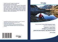 Bookcover of Туризм траспорт инфратузилмасини ривожлантириш иқтиқболлари