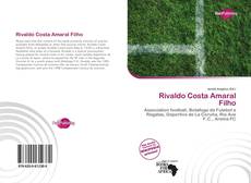 Portada del libro de Rivaldo Costa Amaral Filho