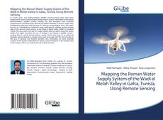 Capa do livro de Mapping the Roman Water Supply System of the Wadi el Melah Valley in Gafsa, Tunisia, Using Remote Sensing 