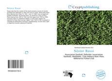 Bookcover of Néstor Rossi