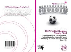 1987 Football League Trophy Final kitap kapağı