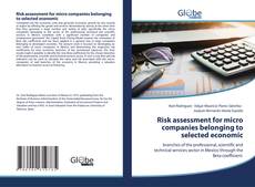 Обложка Risk assessment for micro companies belonging to selected economic