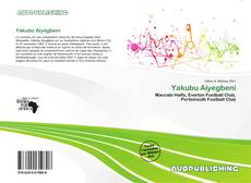 Portada del libro de Yakubu Aiyegbeni